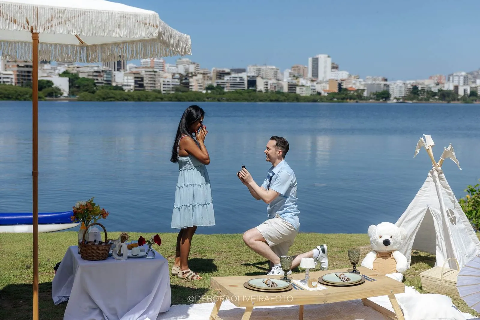 Romantic Picnic Marriage Proposal in Rio de Janeiro: Lee & Vandana