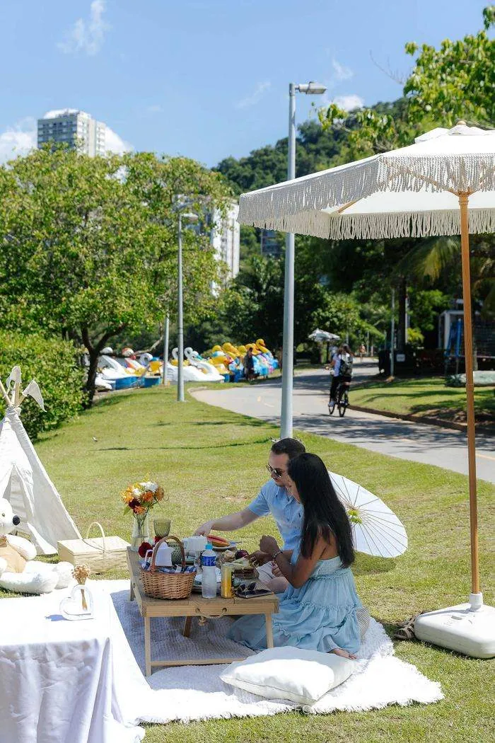 Romantic Picnic Marriage Proposal in Rio de Janeiro: Lee & Vandana – photo 17