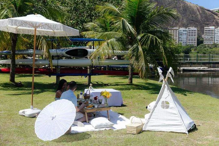 Romantic Picnic Marriage Proposal in Rio de Janeiro: Lee & Vandana – photo 19