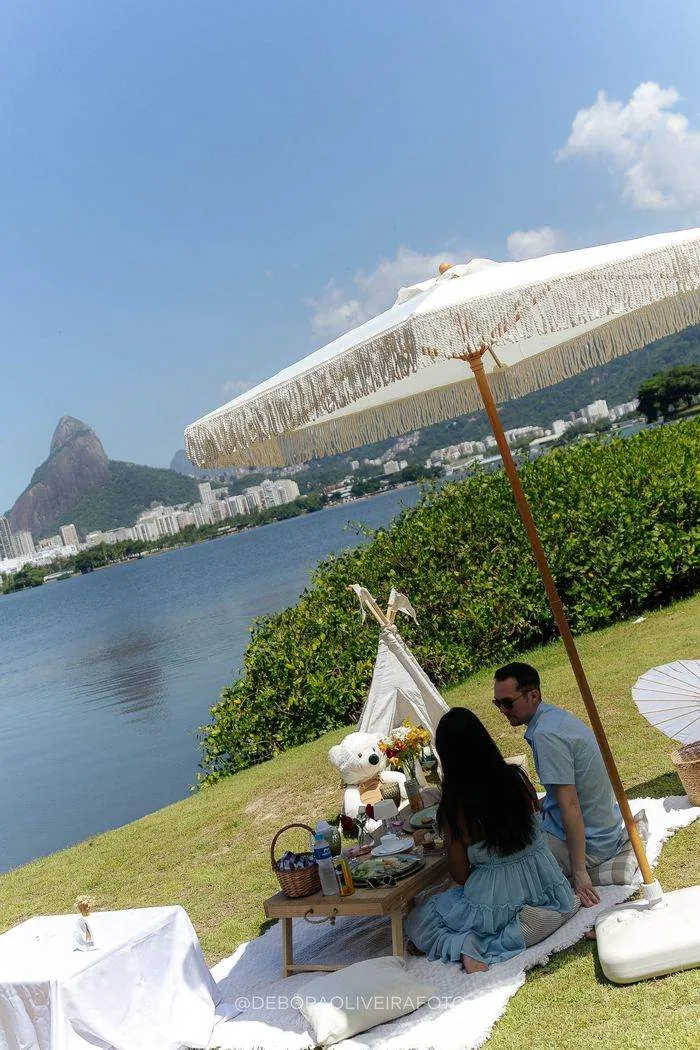 Romantic Picnic Marriage Proposal in Rio de Janeiro: Lee & Vandana – photo 21